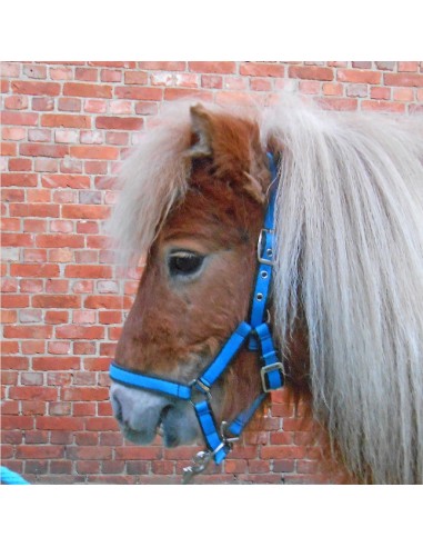 Licol shetland avec longe 1.25m Lamicell