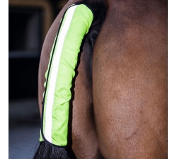 Lot de brosses MagicBrush pansage complet