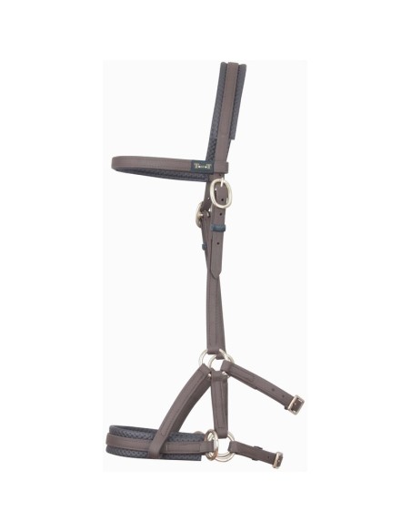 Side pull biotack TdeT