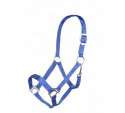 Licol Royalstar HKM Pur-sang