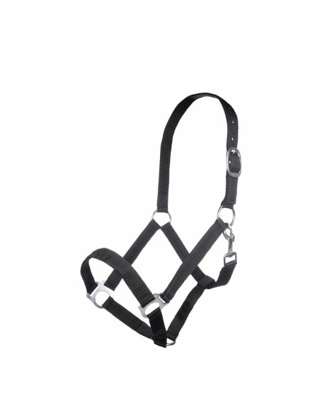 Licol Royalstar HKM Pur-sang