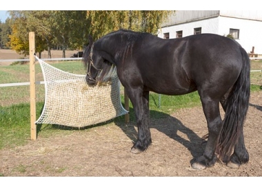 Filet à Foin pour Chevaux - Carré - Blanc - Maille étroite - 3 x 3