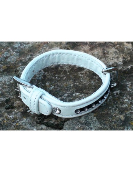 Halsband für kleine Hunde aus Leder und Strass