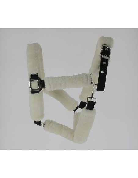 Licol de de protection mouton synthétique
