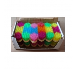 5 X Bouchons brosses dures enfants pour pansage crazy colors