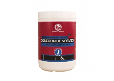 Goudron de Norvège Paskacheval