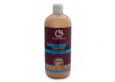 Shampoing Paskacheval