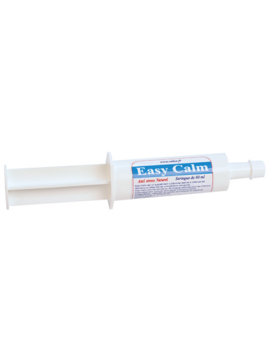 Easy Calm Rekor