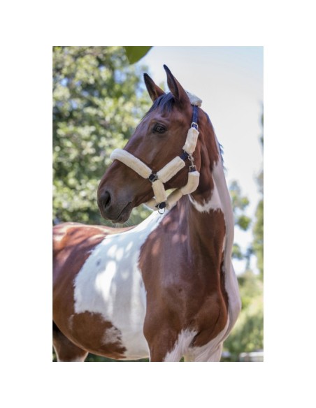 Licol Norton Full mouton synthétique