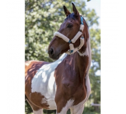 Licol Norton Full mouton synthétique