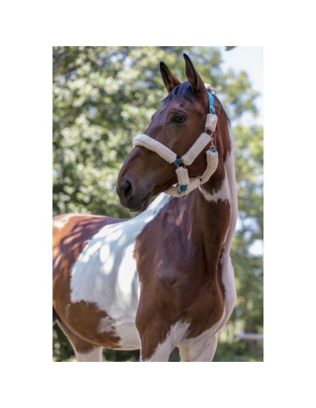 Licol Norton Full mouton synthétique