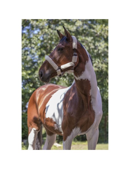 Licol Norton Full mouton synthétique
