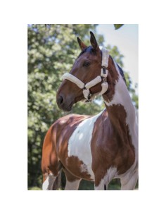Licol Norton Full mouton synthétique 2