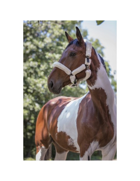 Licol Norton Full mouton synthétique