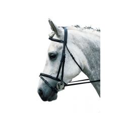 bridon-cuir-special-clubs