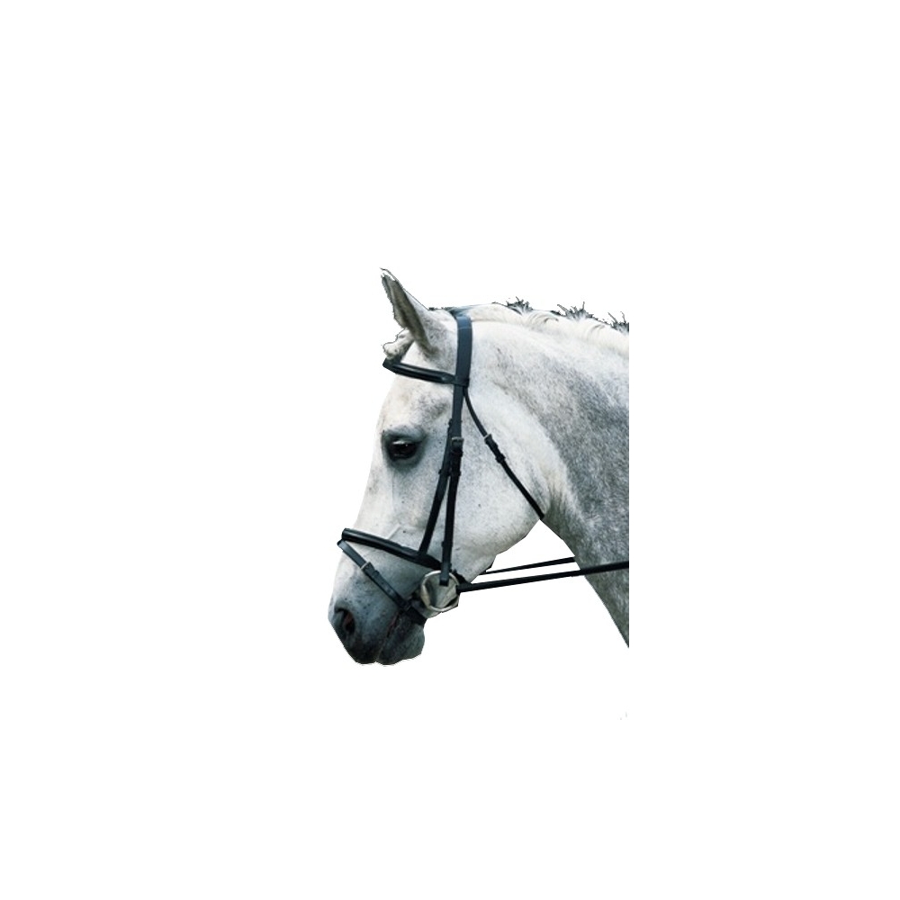 bridon-cuir-special-clubs