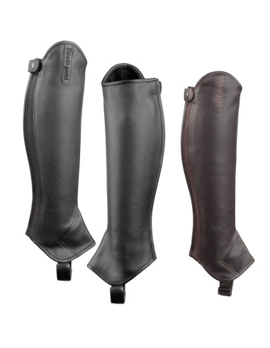 Nouvelles Mini chaps Daslo Gold Tattini