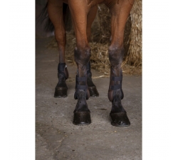 Protège-boulets Norton XTR Marron