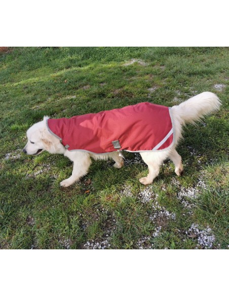 Manteau pour chiens imperméable 600D 100GRS avec trou de laisse DMH