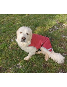 Manteau pour chiens imperméable 600D 100GRS avec trou de laisse DMH 2
