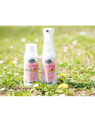 Lustrant Easy Shine Intense brumisateur