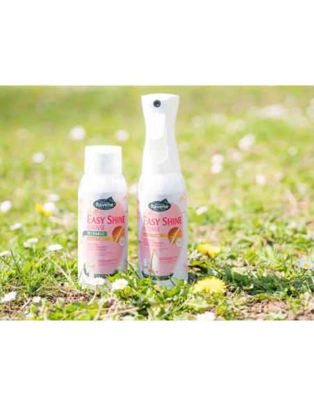 Lustrant Easy Shine Intense brumisateur