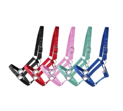 Licol nylon avec attache rapide