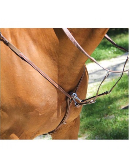 Collier de chasse Caprio Brio Treadstone