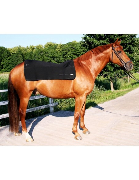 Back warmer Back on Track ( Chauffe dos )