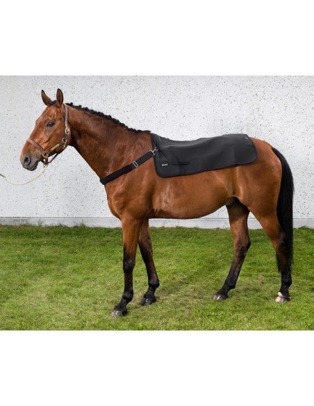 Back warmer Back on Track ( Chauffe dos )