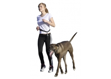 Laisse de jogging avec son chien plus ceinture Active