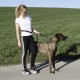 Laisse de jogging avec son chien plus ceinture Active