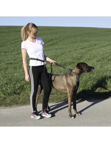 Kit complet Agility pour chien