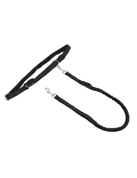 Kit complet Agility pour chien