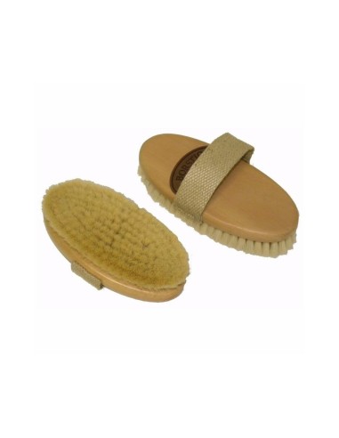 Brosse à crins Borstiq