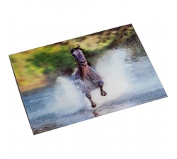 Carte postale -Galopp- 3D HKM
