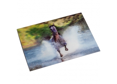 Carte postale Galopp 3D HKM