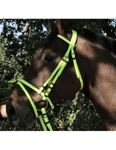 Bridon DMH équitation synthétique couleur