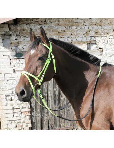 Bridon DMH équitation synthétique couleur