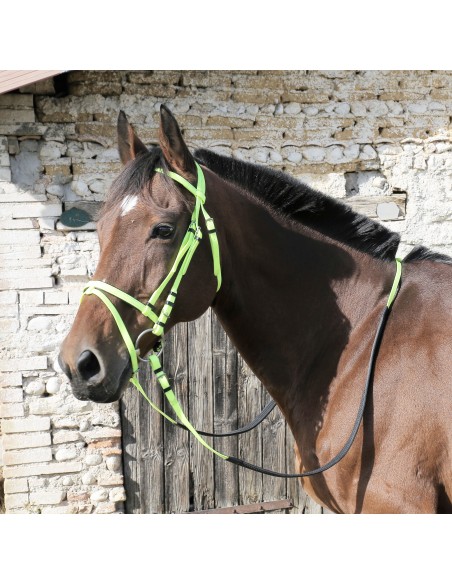 Bridon DMH équitation synthétique couleur