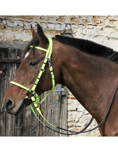 Bridon de randonné DMH-Equitation synthétique
