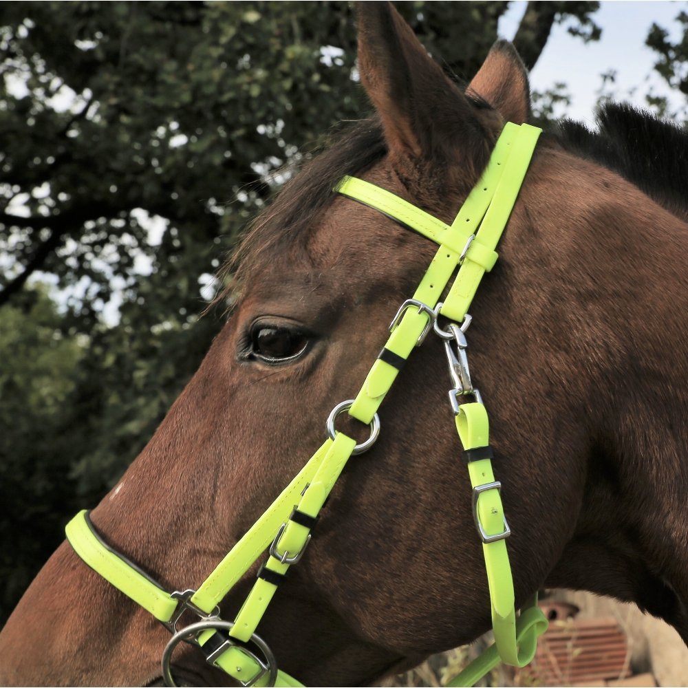 Bride Licorne Décor Cheval Bride Pour Cheval En PVC - Souple, Durable Bride Licorne Décor Cheval Bride Pour Cheval En PVC - Souple, Durable