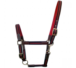 Licol  High Class DMH Equitation Majestic