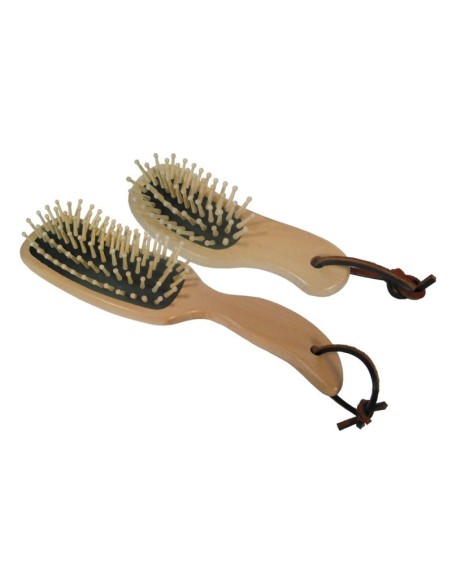 Brosse à crins Borstiq