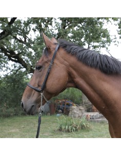 Licol de présentation et sa longe assortie qualité+ poney ou cheval