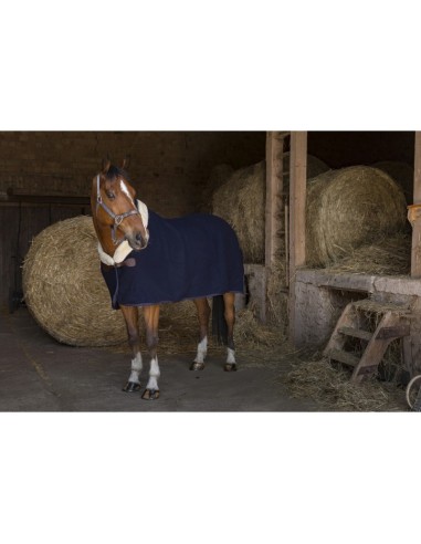 Couverture laine Equithème Teddy
