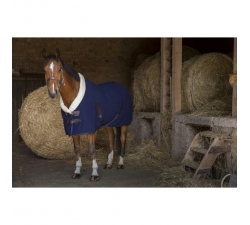 Chemise polaire Equithème Teddy