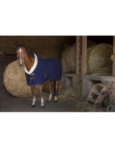 Chemise polaire Equithème Teddy
