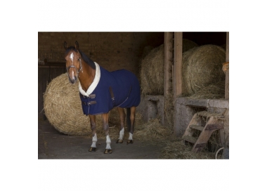 Chemise polaire Equithème Teddy