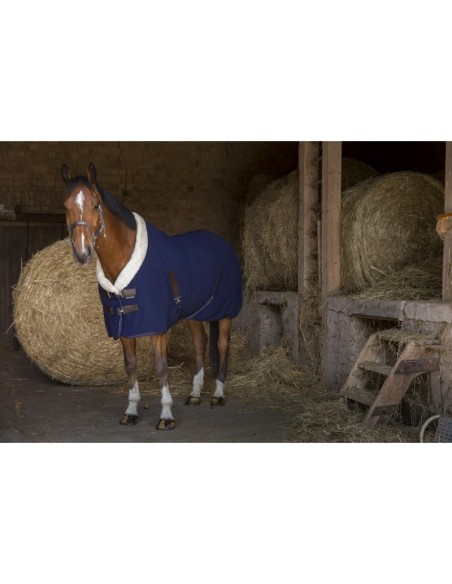 Chemise polaire Equithème Teddy